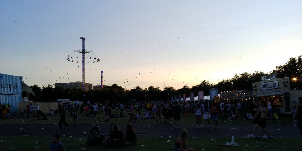 Seagulls picking on the scraps at TRNSMT 2019