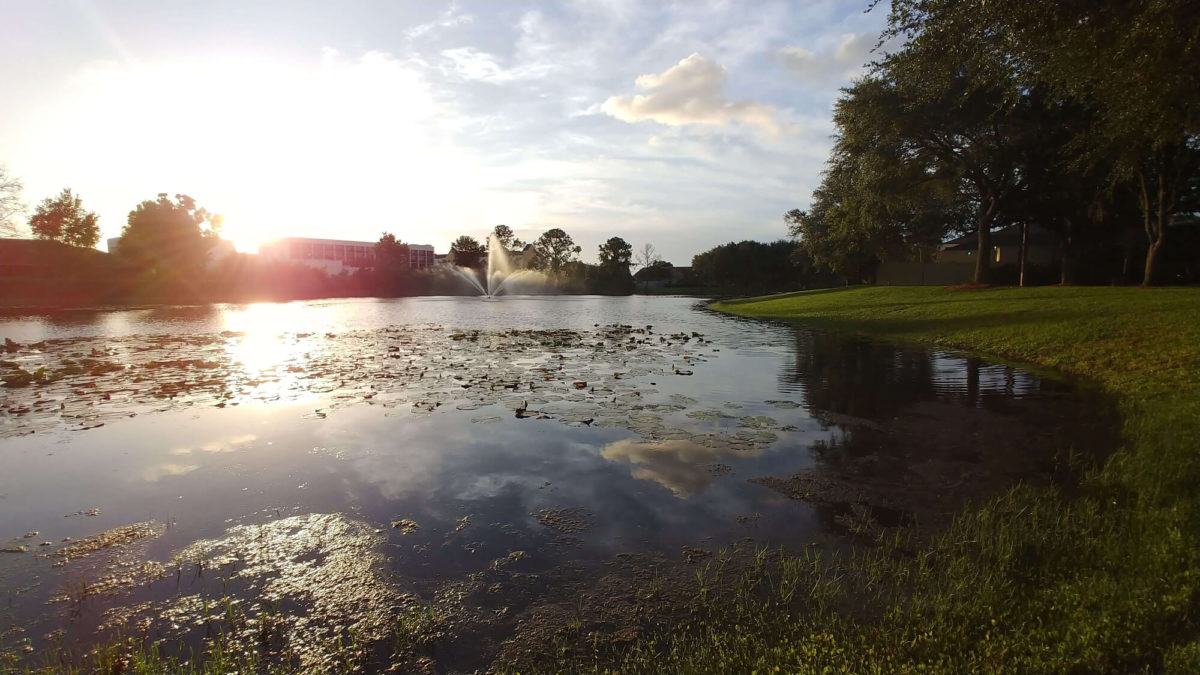 A lake in Orlando, Florida